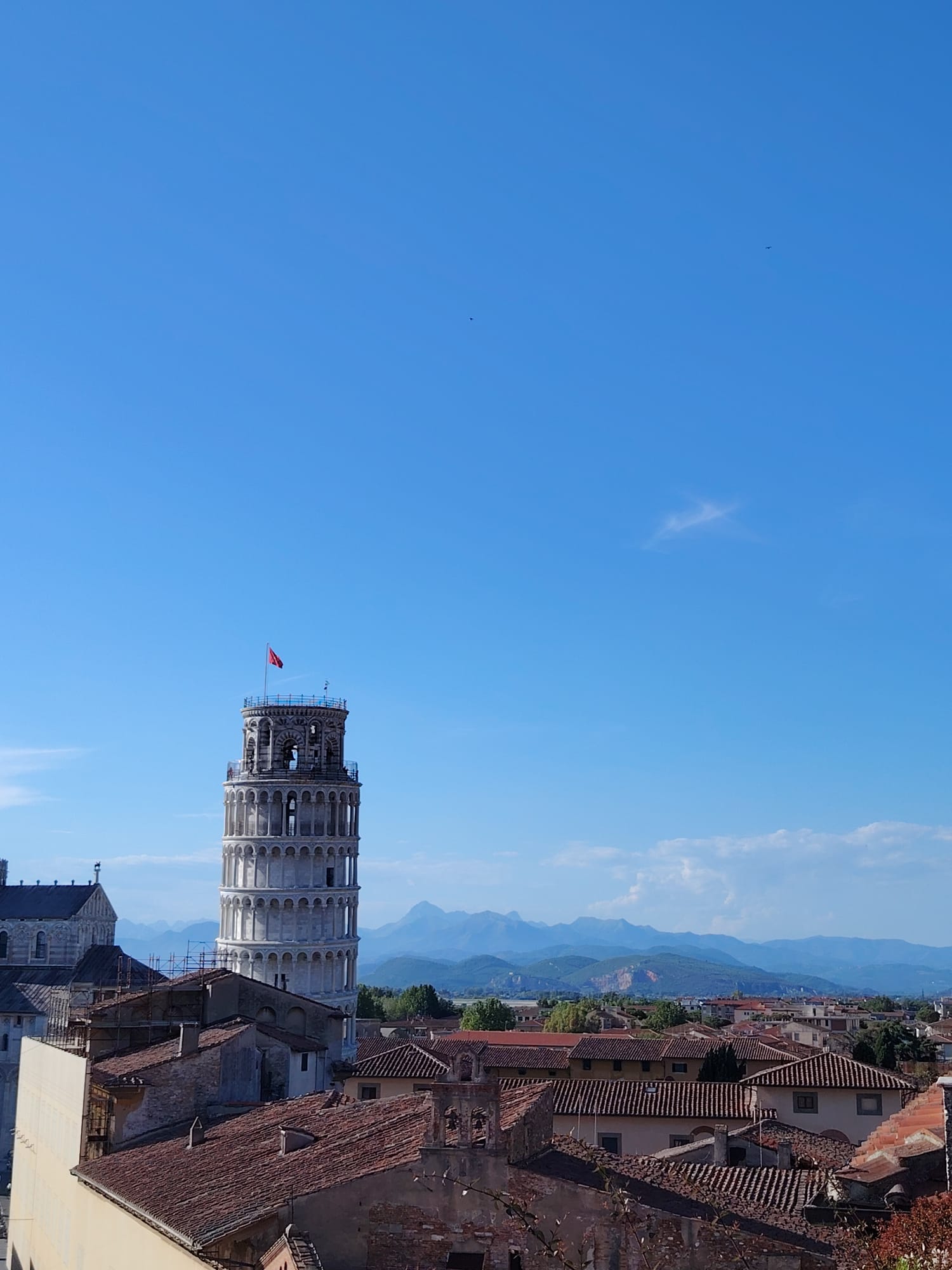 Torre di Pisa vista dai tetti, vicino all'affittacamere