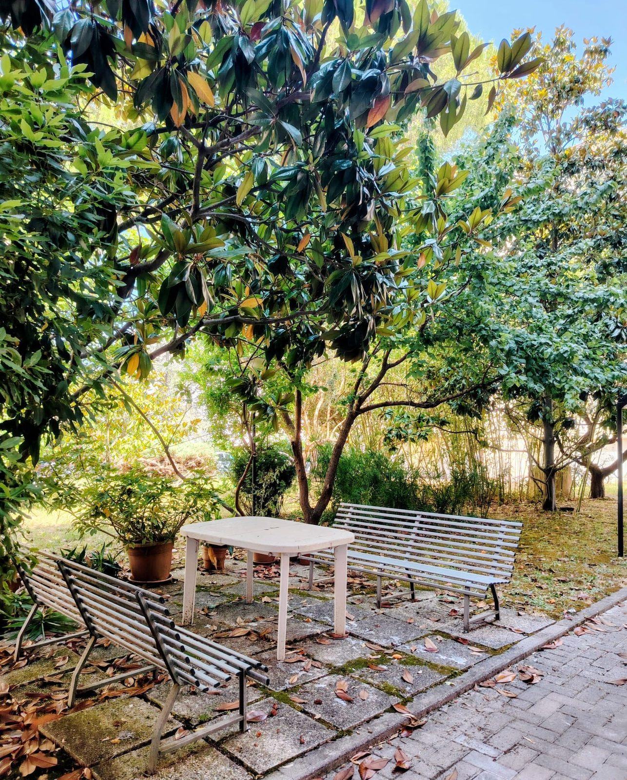 Il giardino comune